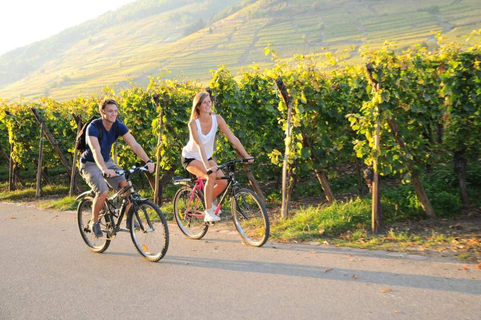 vélo toursime vignes Kaysersberg